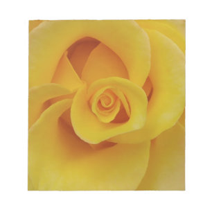 Romantic Yellow Rose Petals Notitieblok