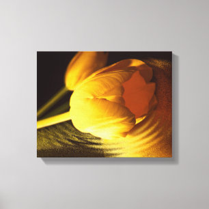 Romantic Yellow Tulip Canvas Afdruk