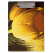 Romantic Yellow Tulip Klembord (Voorkant)