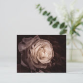 Romantica - dit roos zegt liefde briefkaart (Staand voorkant)