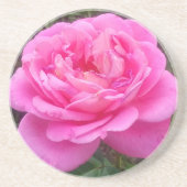 Romantieke roze roos 'Leonardo Da Vinci'    Zandsteen Onderzetter (Voorkant)