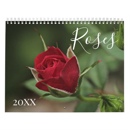 Romantique fleurs florales calendrier rose (Protection)