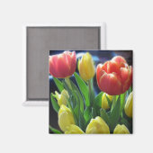Romantique Rouge & Fleurs de Tulipe Jaune Aimant d (Recto/Verso)