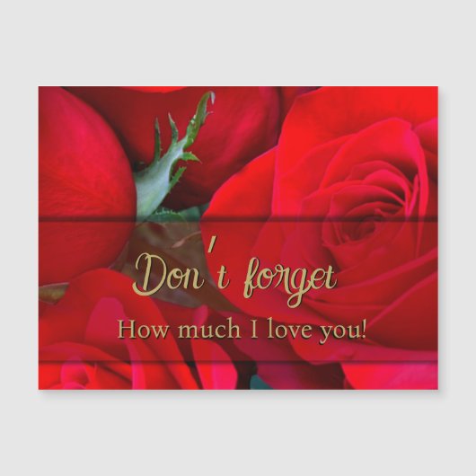 Romantique Rouge Rose Saint Valentin Magnet (Devant)