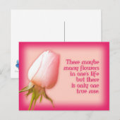 Romantisch citaat slechts één roos briefkaart (Voorkant / Achterkant)
