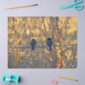 Romantisch parodie op een draad, Foto Tissuepapier (Craft)