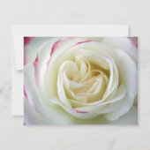 Romantisch Roos Blossom Bridal Shower Uitnodiging (Achterkant)