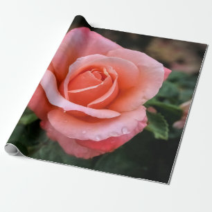 Romantisch Roos Botanische kunst Print Cadeaupapier