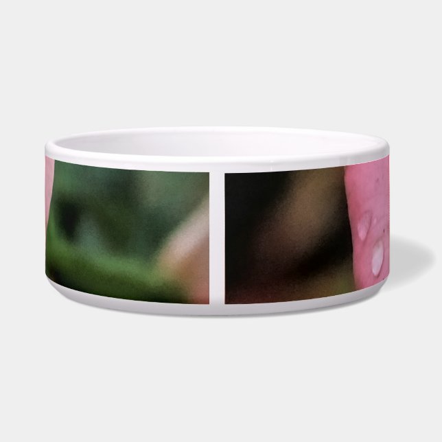 Romantisch Roos Botanische kunst Print Voerbakje (Achterkant)