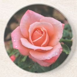 Romantisch Roos Botanische kunst Print Zandsteen Onderzetter