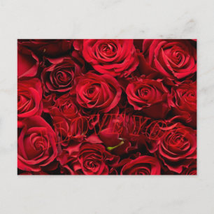 Romantisch roos liefde Valentijnsdag briefkaart