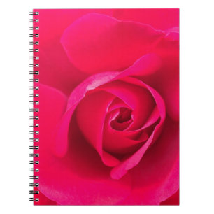Romantisch roze rode roos v2 notitieboek