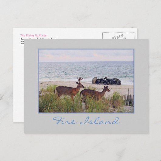 'Romantische avondwandeling langs het strand' Brie Briefkaart (Voorkant / Achterkant)