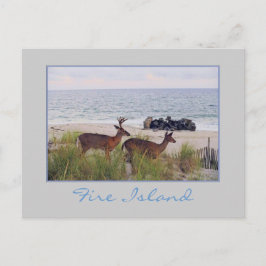 'Romantische avondwandeling langs het strand' Brie Briefkaart