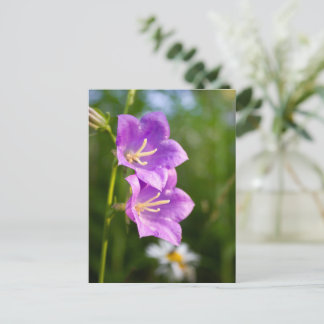 Romantische Bloemen – Botanische Fantasie Boho Briefkaart