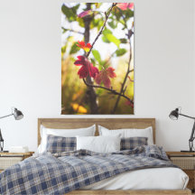 Romantische bomen & bloemen – Botanische fantasie