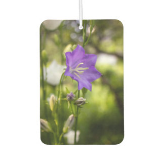 Romantische Bomen & Bloemen – Botanische Fantasie Luchtverfrisser