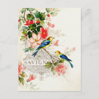 -Romantische Briefpapier vogels Briefkaart