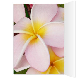 romantische datum bloemen rsvp kleurrijk chic