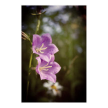 Romantische Donkere Bloemen – Botanische Fantasy B