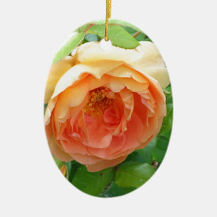Romantische elegante Oranje Rozen foto Keramisch Ornament