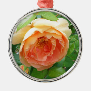 Romantische elegante Oranje Rozen Metalen Ornament