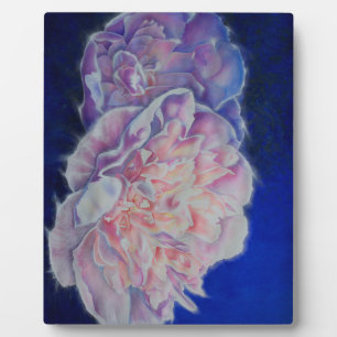 Romantische elegante roze witte pastel waterverf fotoplaat