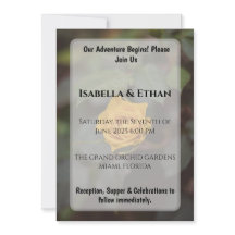 Romantische Enkele Gele Roos Donkere Tuin Bruiloft