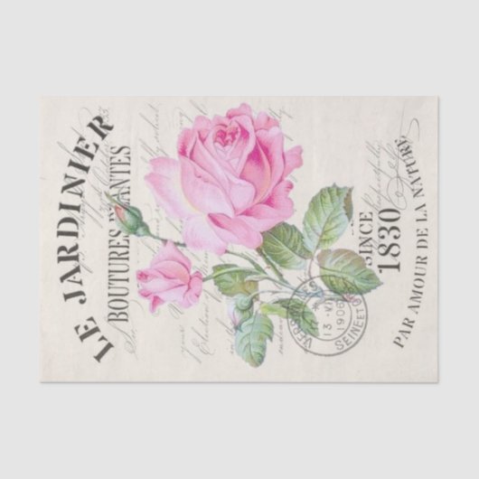 Romantische  Franse roze pony Flower Tissuepapier (Voorkant)