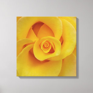 Romantische gele rozenblaadjes canvas afdruk
