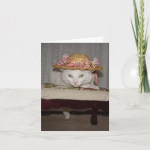  romantische katten feestdagen kaart