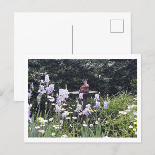 Romantische Kikkeroomprins en Bloemen Briefkaart