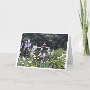 Romantische Kikkerprins en Bloemen Blanco Kaart