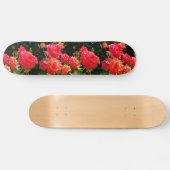 Romantische koraalRozen Skateboard (Horizontaal)
