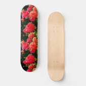Romantische koraalRozen Skateboard (Voorkant)