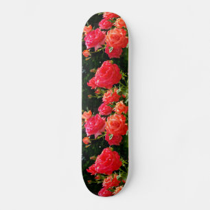 Romantische koraalRozen Skateboard