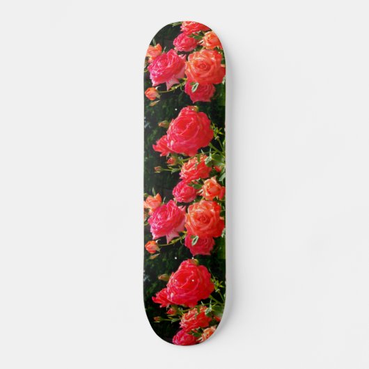 Romantische koraalRozen Skateboard (Voorkant)