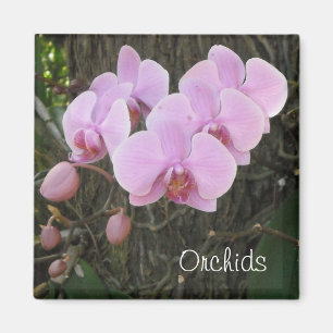 Romantische orchideeën magneet