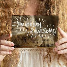 Romantische paardenkat Valentijns Briefkaart