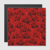 Romantische Rode Roos (Voorkant / Achterkant)
