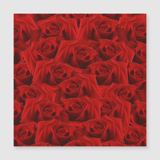 Romantische Rode Roos (Voorkant)