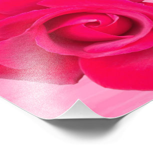 Romantische rode roze roos foto afdruk