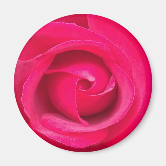 Romantische rode roze roos magneet (Voorkant)