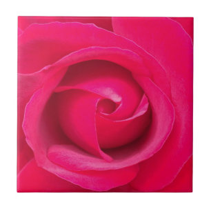 Romantische rode roze roos tegeltje