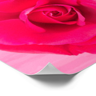 Romantische Rode Roze Roos v2 Poster