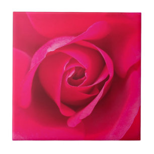 Romantische rode roze roos v2 tegeltje