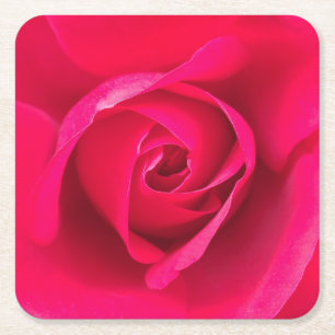Romantische rode roze roos v2 vierkante kartonnen onderzetter