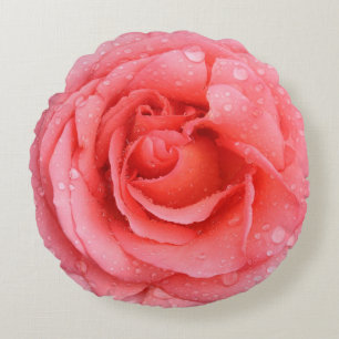 Romantische rode roze rozenwaterdruppels rond kussen