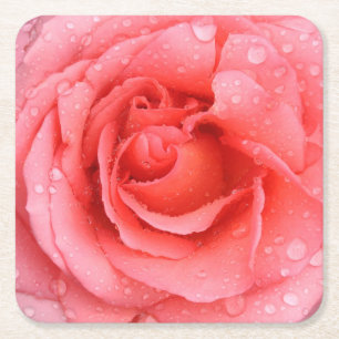 Romantische rode roze rozenwaterdruppels vierkante kartonnen onderzetter