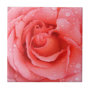 Romantische rode roze waterdruppels tegeltje